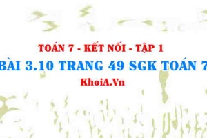 Bài 3.10 trang 49 SGK Toán 7 tập 1 Kết nối tri thức